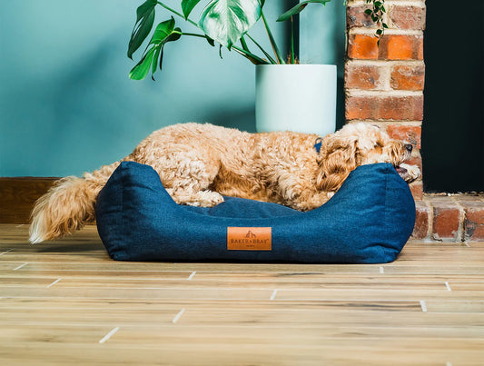 Baker & Bray Exo Luxe Orthopaedic Luxury Dog Bed