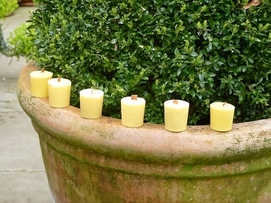 Kindlecone Flyaway™ Citronella Votive Candles