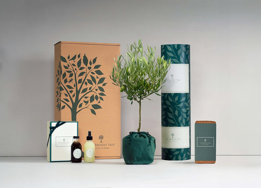 The Present Tree Premium Garden Gift Hamper